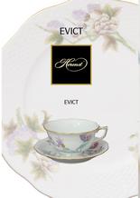 EVICT leaflet